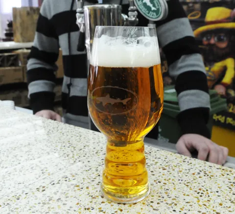 Dogfish IPA — wanted glass reference photograph