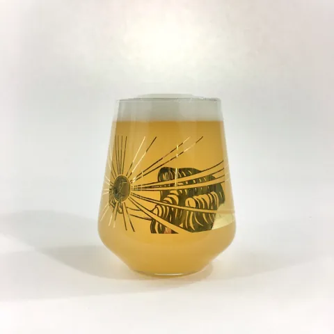 Tired Hands Brewing Company 0,33L — wanted glass reference photograph